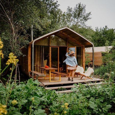 Les Cabanes D'Ostende Zewnętrze zdjęcie